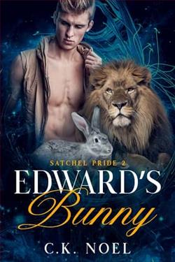 Edward&rsquo;s Bunny by C.K. Noel