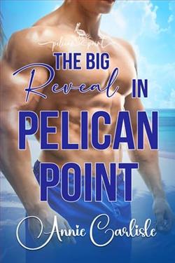 The Big Reveal in Pelican Point by Annie Carlisle