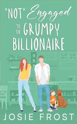&ldquo;Not&rdquo; Engaged to the Grumpy Billionaire by Josie Frost