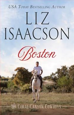 Boston by Liz Isaacson