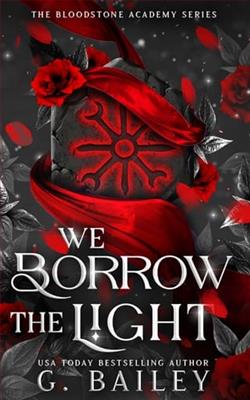 We Borrow The Light by G. Bailey