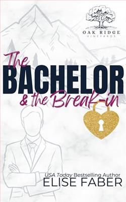 The Bachelor & the Break-in by Elise Faber