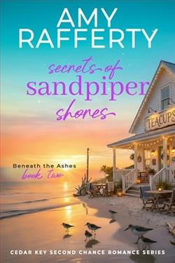 Secrets of Sandpiper Shores by Amy Rafferty