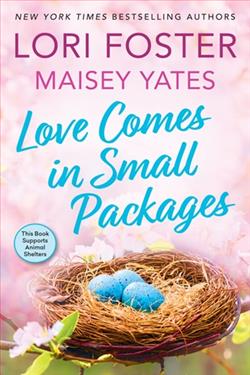 Love Comes in Small Packages by Lori Foster