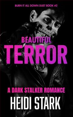 Beautiful Terror by Heidi Stark