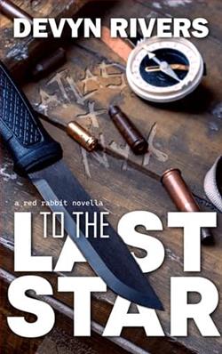 To The Last Star by Devyn Rivers
