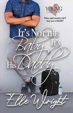 It's Not the Baby, It's His Daddy by Elle Wright