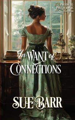 In Want of Connections by Sue Barr